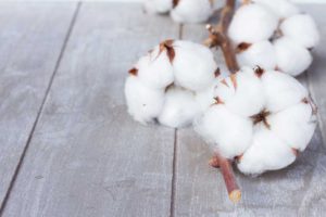 organic-natural-cotton